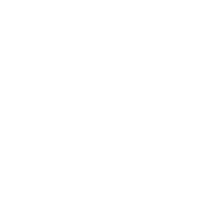 Narya Research